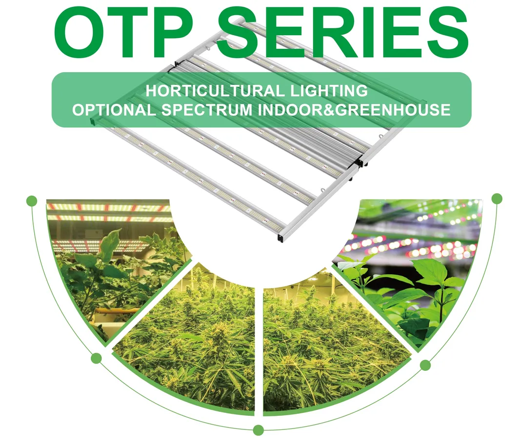 Higrowsir LED Horticultural Lighting Commercial Horticulture LED Top Lighting 960W LED Grow Light Strip Grow Light with Rj14 Smart Controller