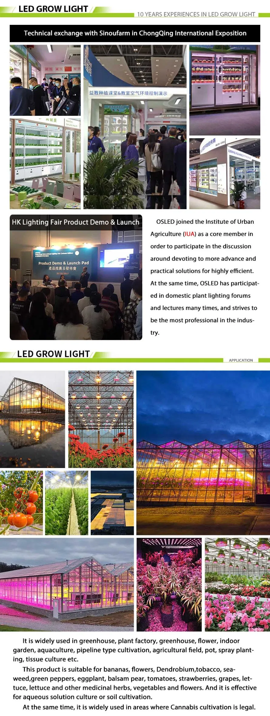 Higrowsir LED Horticultural Lighting Factory Price Full Spectrum LED Verlichting Voor Planten LEDs Horticole Pour Tomate Spectrum LED Grow Light 480W 640W 960W