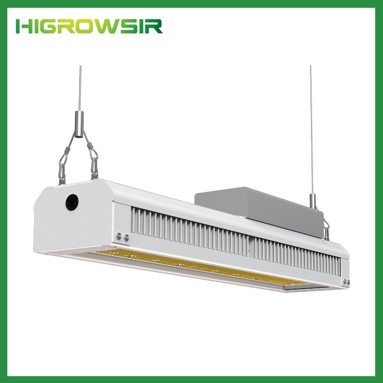 Higrowsir LED Horticultural Lighting Hydroponic Growing Full Spectrum 2000W Epileds Epistar LED Grow Light