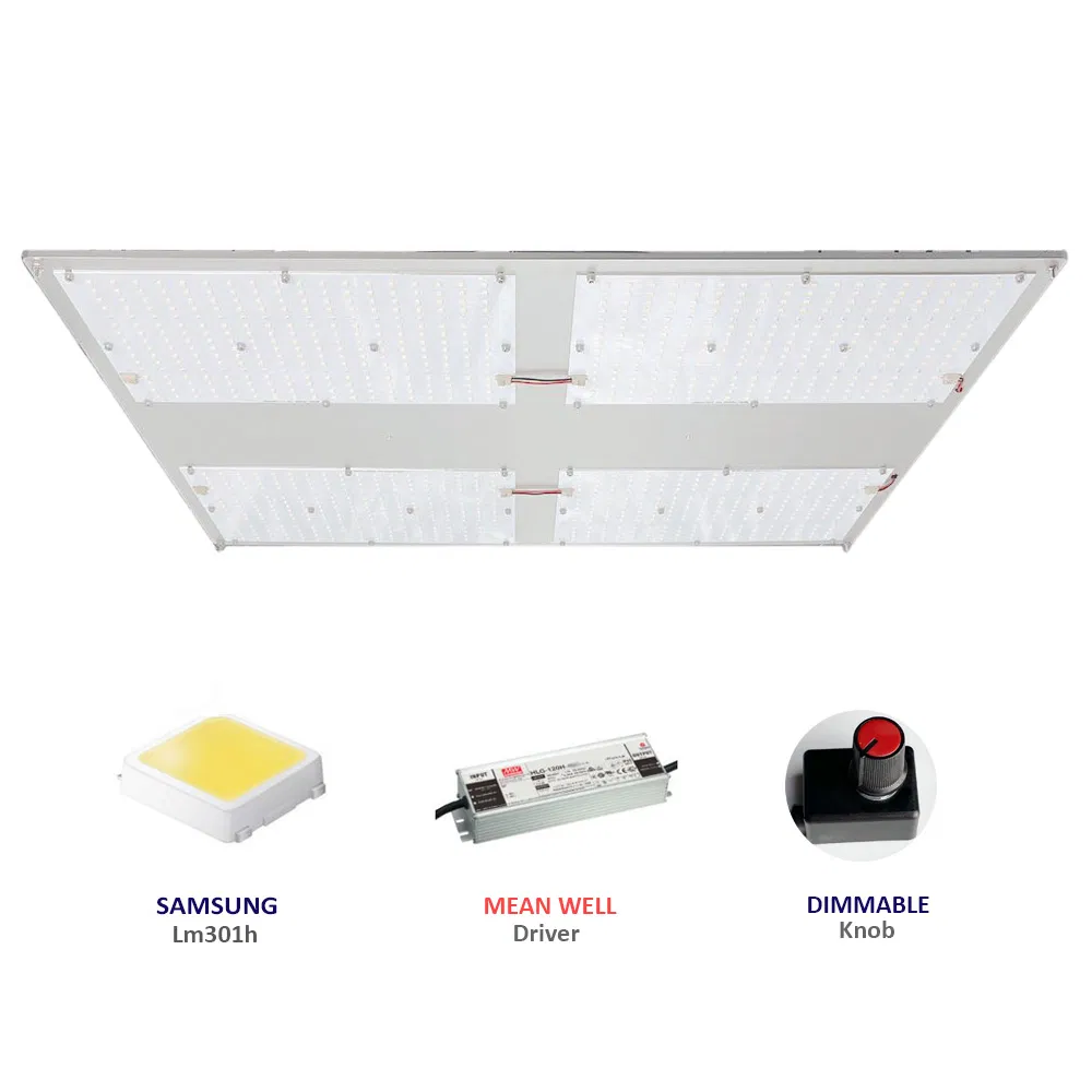 Hot Sale Quantum LED Grow Light 480W Qb288 550 V2 with MW Driver