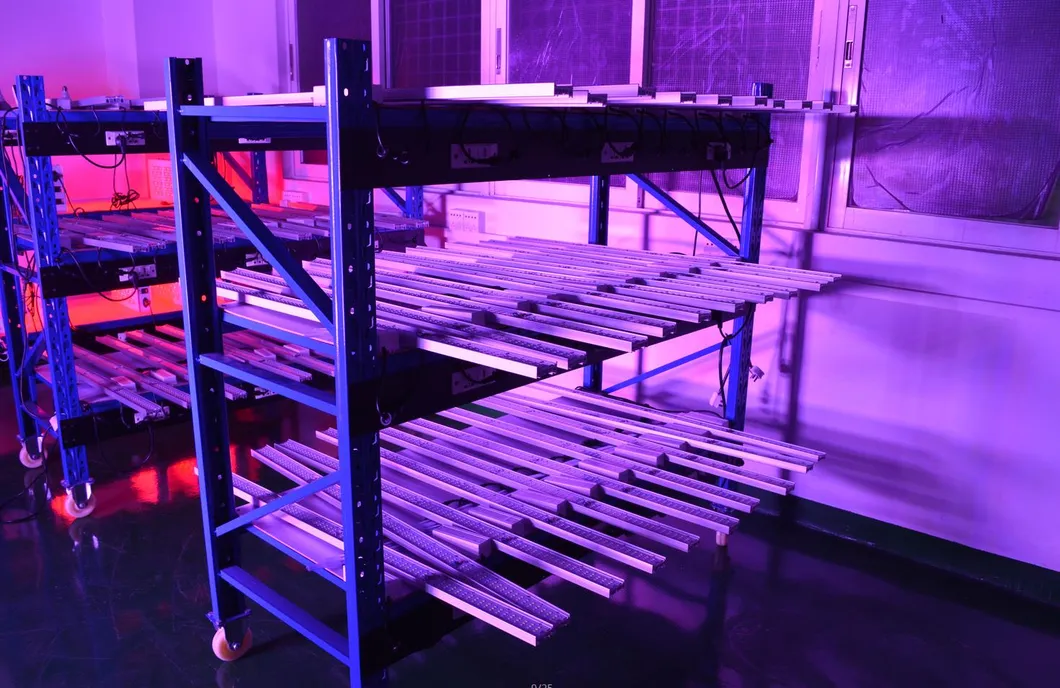 Hydroponic Growing Systems Full Spectrum Bluetooth Rj14 Group Control 800W LED Grow Light