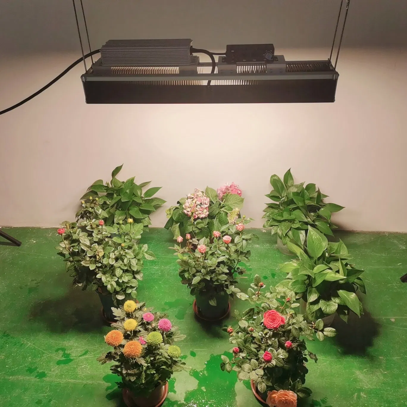 Hydroponics Fluence Commercial Planting 300W LED Grow Lights HPS Replacement for Indoor