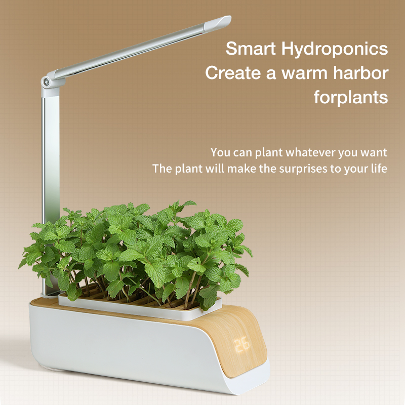 Hydroponics Kitchen Kit Indoor Growing Systems Mini Home Garden with LED Plant Grow Light