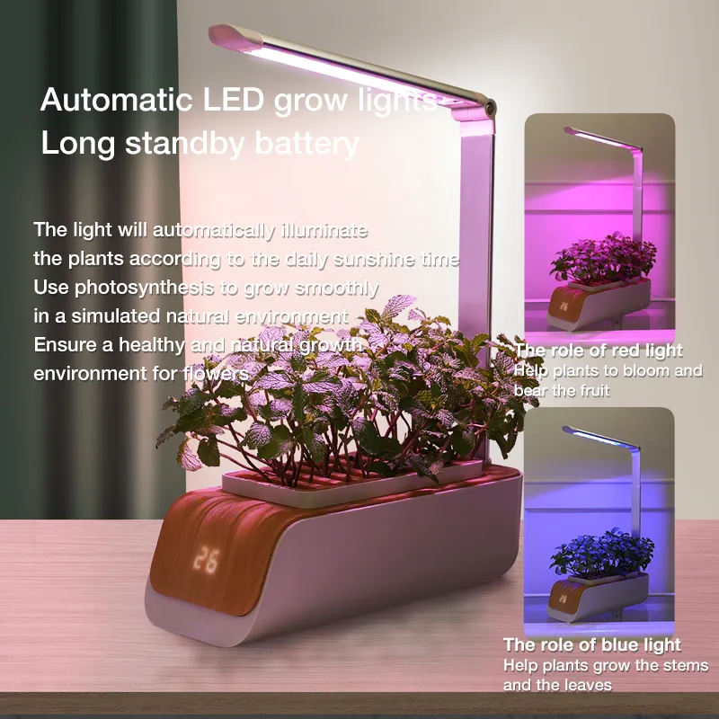 Hydroponics Kitchen Kit Indoor Growing Systems Mini Home Garden with LED Plant Grow Light