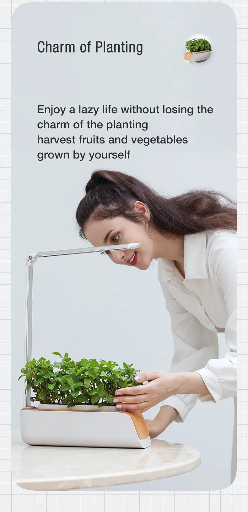 Hydroponics Kitchen Kit Indoor Growing Systems Mini Home Garden with LED Plant Grow Light