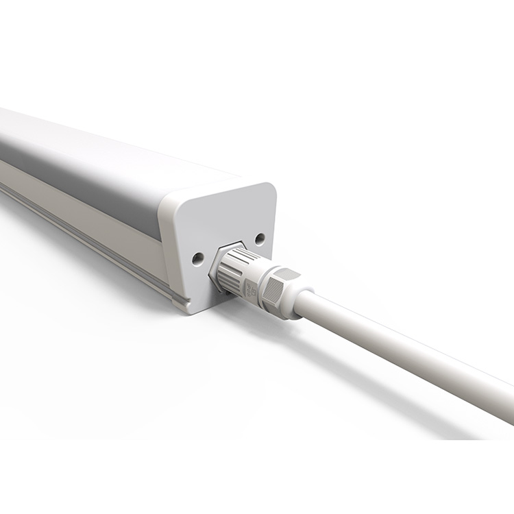 Vapor Tight Light Fixture