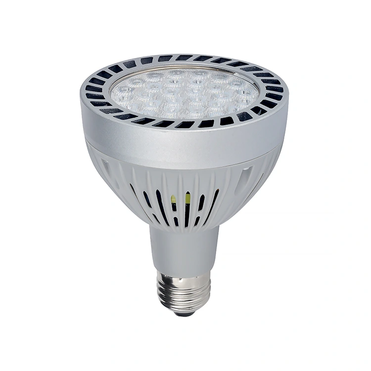 PAR30 Spotlights