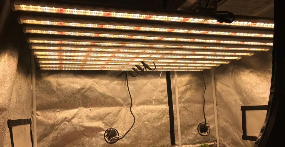Indoor Hydroponic UV IR 1000W CMH 800W COB Lm301h Lm301b LED Grow Light Full Spectrum