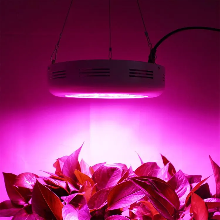 Indoor Hydroponic UV IR 1000W CMH 800W COB Lm301h Lm301b LED Grow Light Full Spectrum