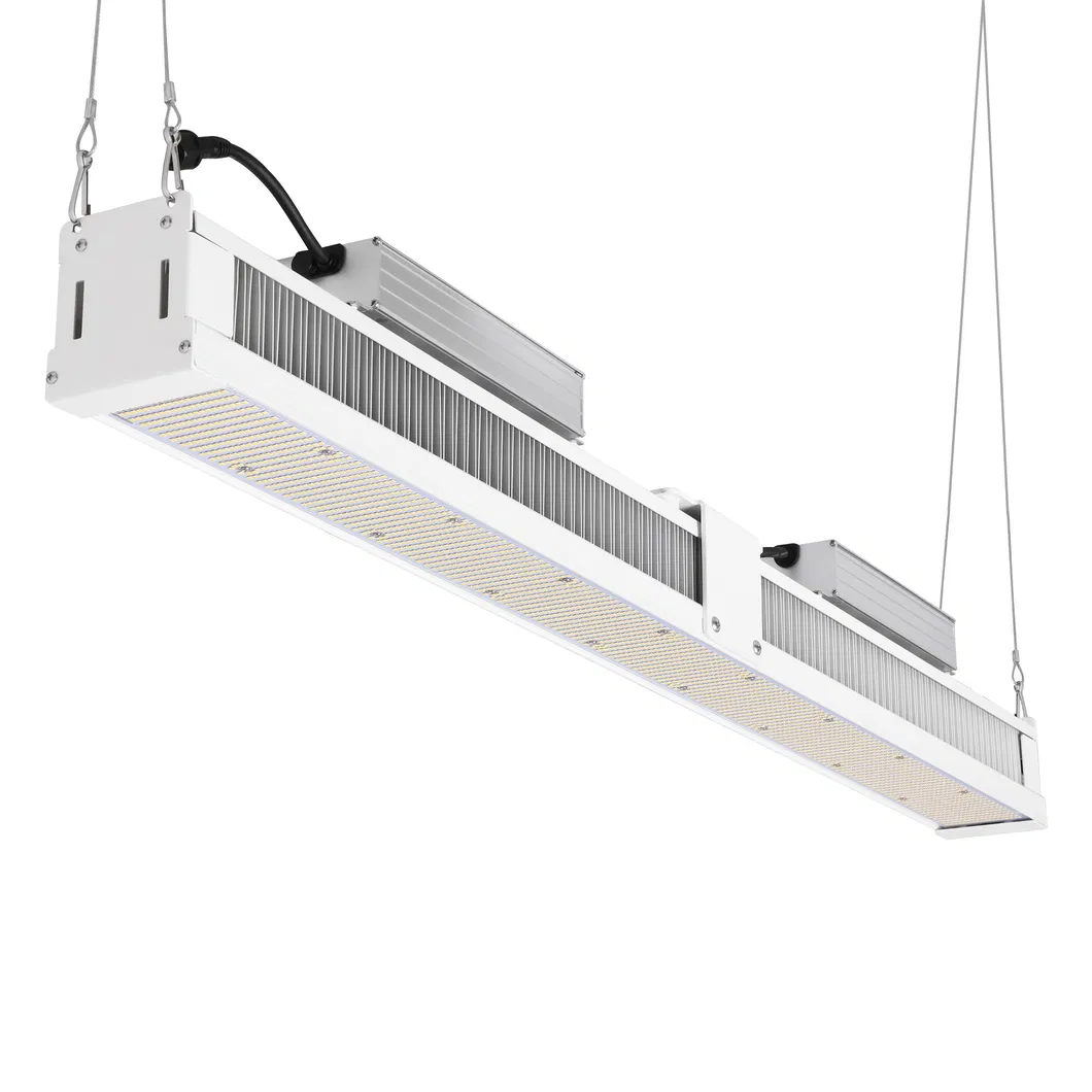 Indoor Hydroponic UV IR 1000W CMH 800W COB Lm301h Lm301b LED Grow Light Full Spectrum