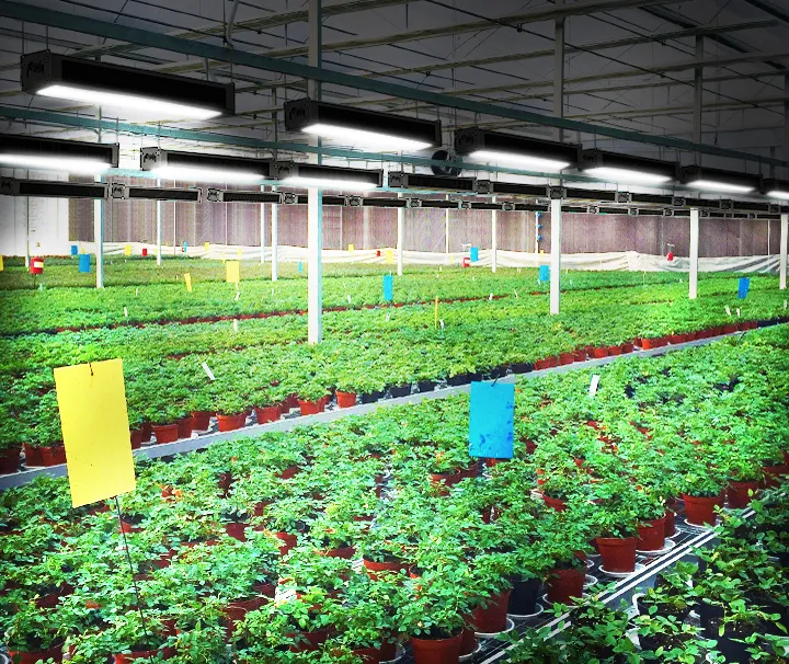 Indoor LED Grow Light Hydroponic 630W