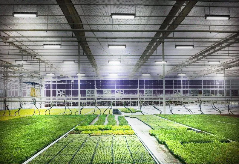 Indoor LED Grow Light Hydroponic 630W