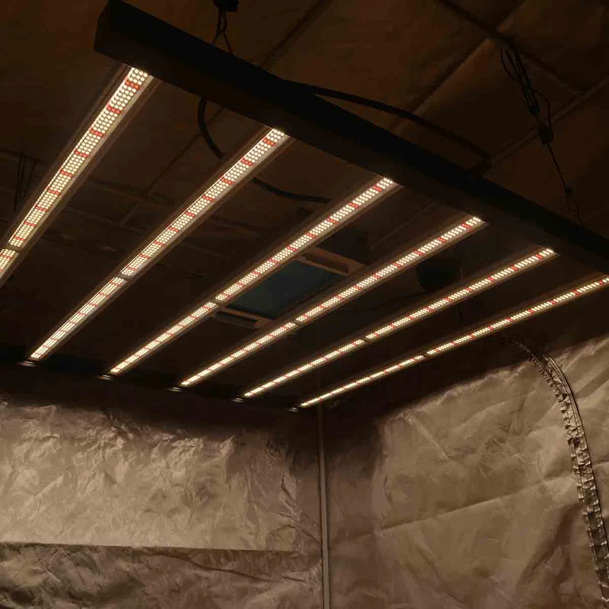 IP65 0-10V Dimmable Lm301b 600W 800W Full Spectrum LED Grow Light