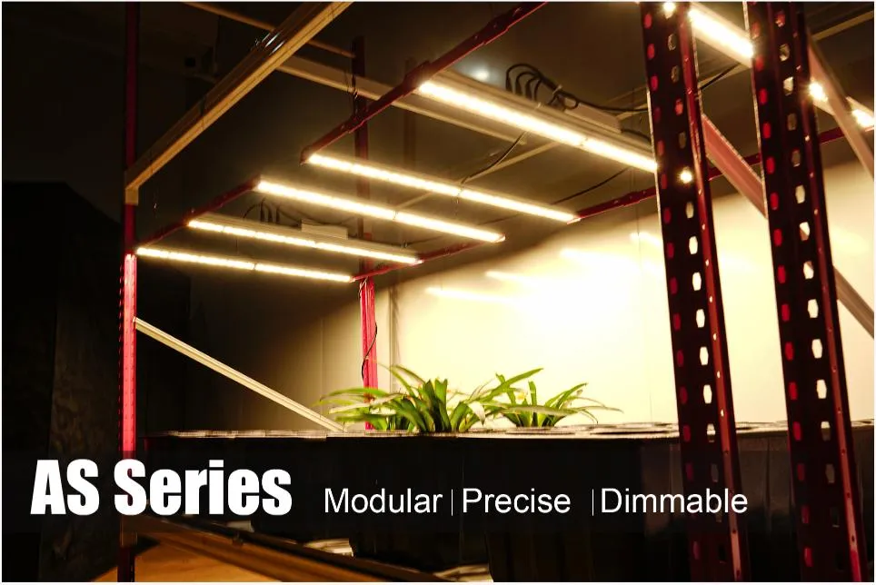 LED Grow Light Full Spectrum High Ppfd Dimmable Indoor Greenhouse Plants Vertical Farming Microgreen