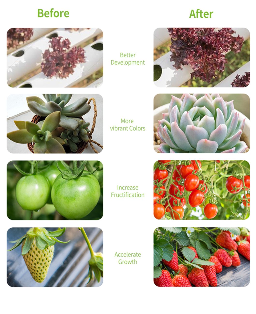 LED Grow Light Red Hortibloom LED Grow Light