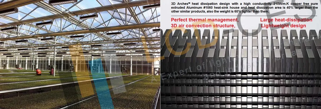 LED Light Linear Slim Growing LED Lighting 300W 220V 50/60Hz Water Proof IP65 for Commercial Greenhouse Growing Lighting Lamp Horticulture Flood Light