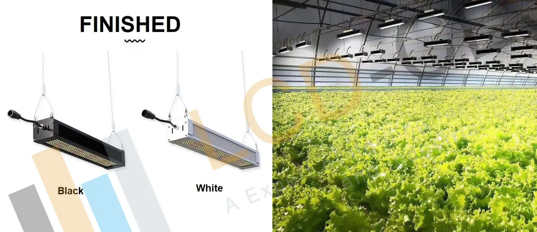 LED Light Linear Slim Growing LED Lighting 300W 220V 50/60Hz Water Proof IP65 for Commercial Greenhouse Growing Lighting Lamp Horticulture Flood Light