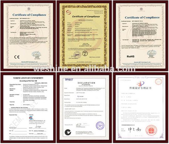 Mini 12W LED Grow Light for Bonsai Home Planting