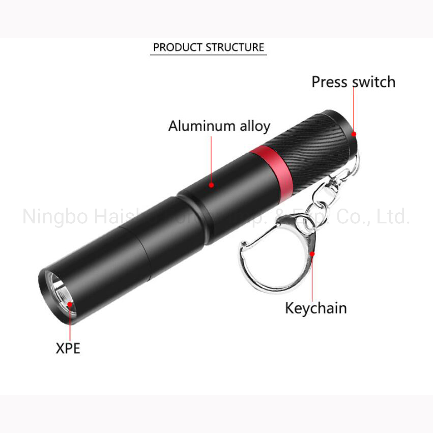 Mini Pockect Flashlight Portable Keychain Light Mini Tactical Torch for Dentist Camping Hiking with 3 Flash Modes