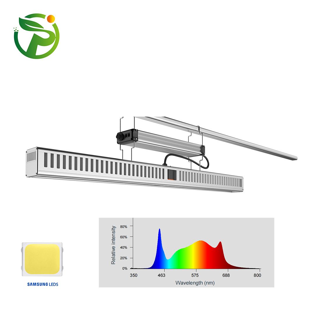 New Arrival Wholesale Indoor High Power 600W LED Growing Light Full Spectrum Identical Fluence LED Grow Lights