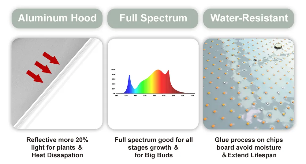 New Design Full Spectrum 120W Grow Light High Efficacy LED Quantum Board Grow Panel for Indoors Planting