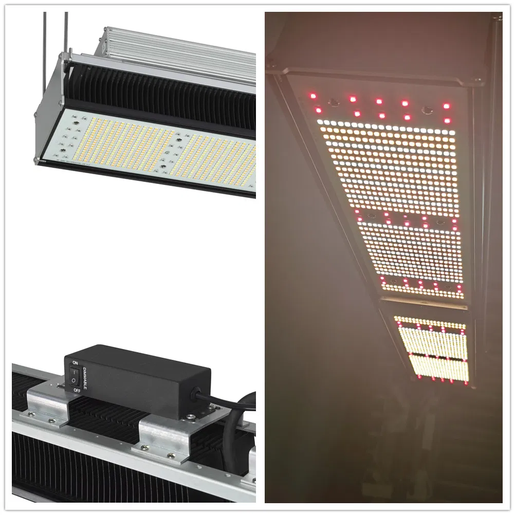 Newest 2021 Hortibloom Horticulture Fluence 350W Lm301h Lm301b LED Grow Light