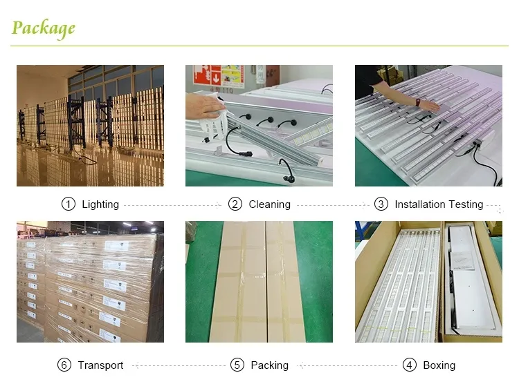 Newest IP65 Full Spectrum 660W 800W 1000W Commercial LED Grow Light for Vertical Greenhouse