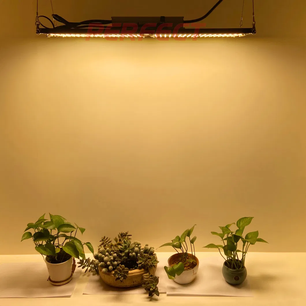 Perfect 3000K 3500K 4000K Qb288 V2 Board Sam-Sung Lm301b Grow LED Light with MW Driver