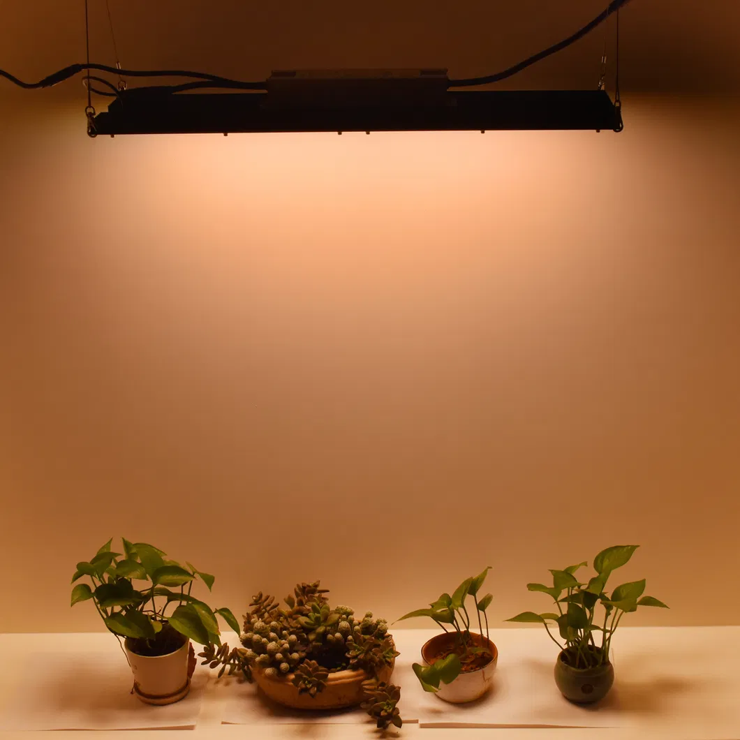 Perfect 3000K 3500K 4000K Qb288 V2 Board Sam-Sung Lm301b Grow LED Light with MW Driver