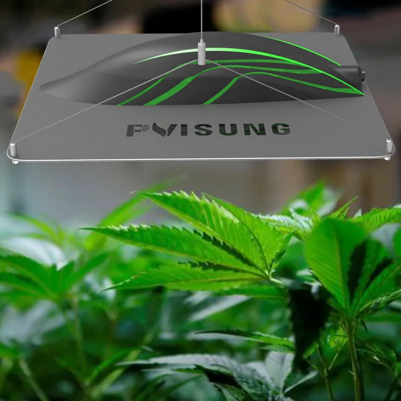 Replacing HPS Highest Efficacy Indoor Grow Medical Plants Sunlight Grow Light Full Spectrum Indoor Grow Light Qb