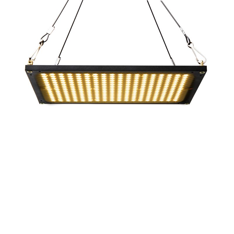 Samsung 561c with White Ray LED Grow Light for Home Grower Tent to Supplement Lighting 120W