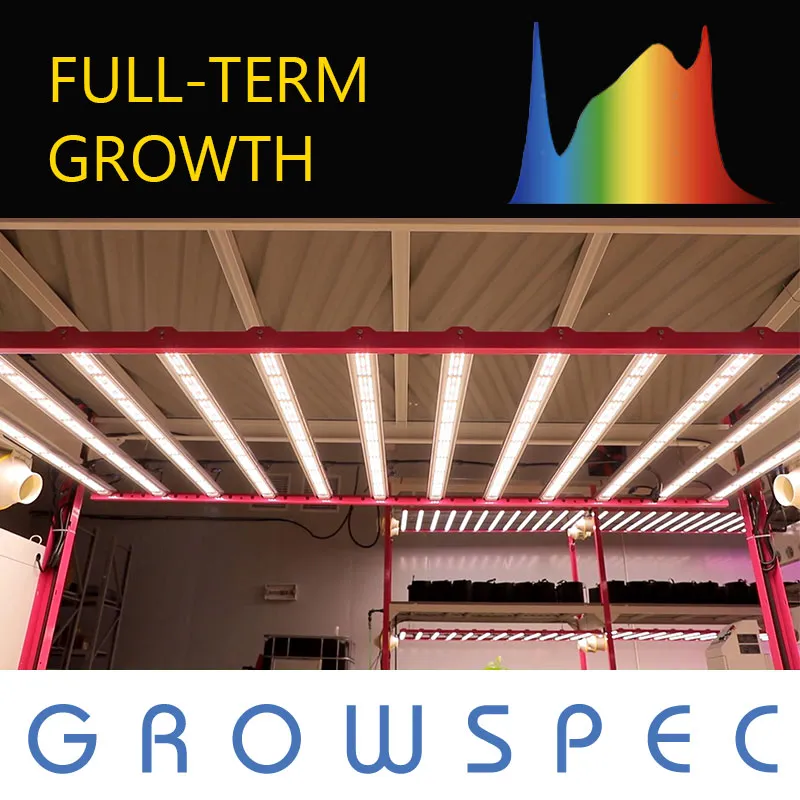 Samsung 640W Farming Greenhouse LED Grow Light Full Spectrum for Farmer