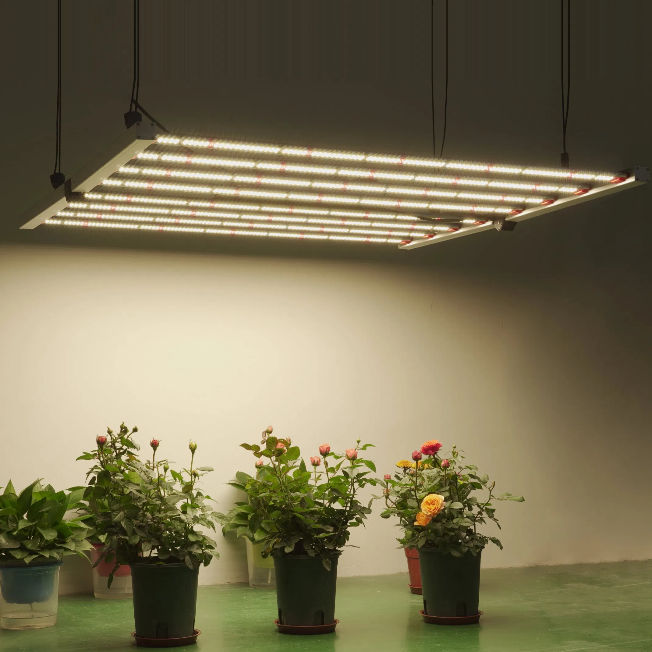 Samsung Lm301b and Orsam Red LEDs 600W Full Spectrum LED Grow Light for Medical Plant