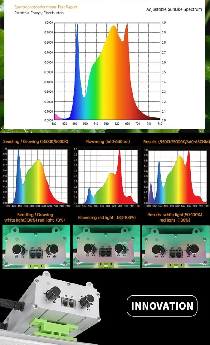 Seedling 50000h Rygh Lights Plant LED Grow Light with Factory Price Rygh-Bz800