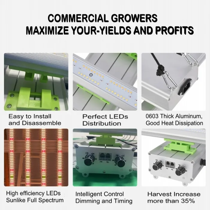Seedling 50000h Rygh Lights Plant LED Grow Light with Factory Price Rygh-Bz800