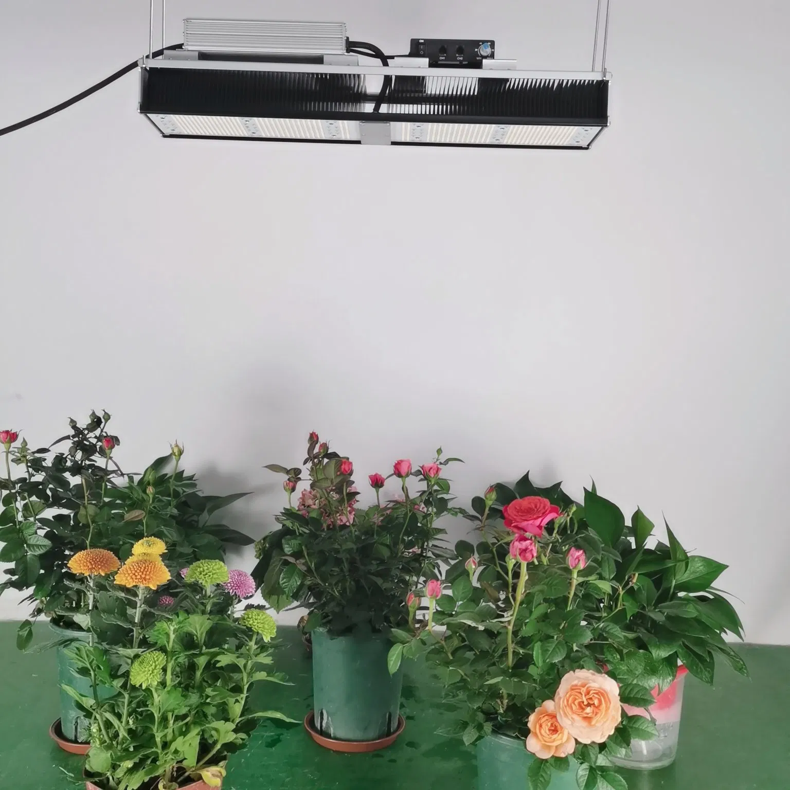 Shenzhen Factory 300W Full Spectrum Hydroponic LED Grow Light for Indoor Plants