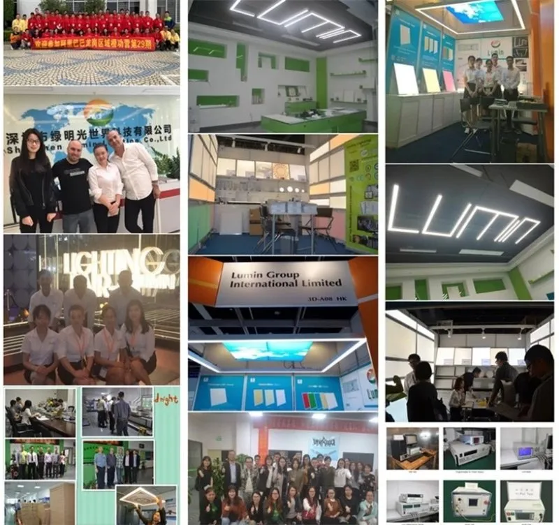 Shenzhen Factory High Ppfd Samsung Lm301b 600W COB Lamp LED Grow Light