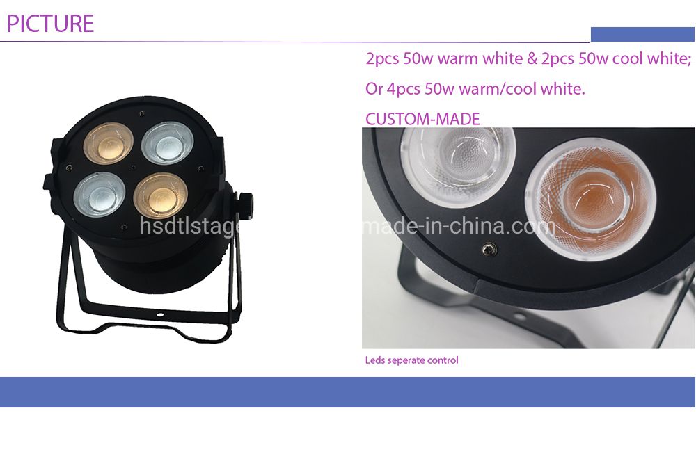 Single DOT Control LED PAR 4X50W Stage Wash Light