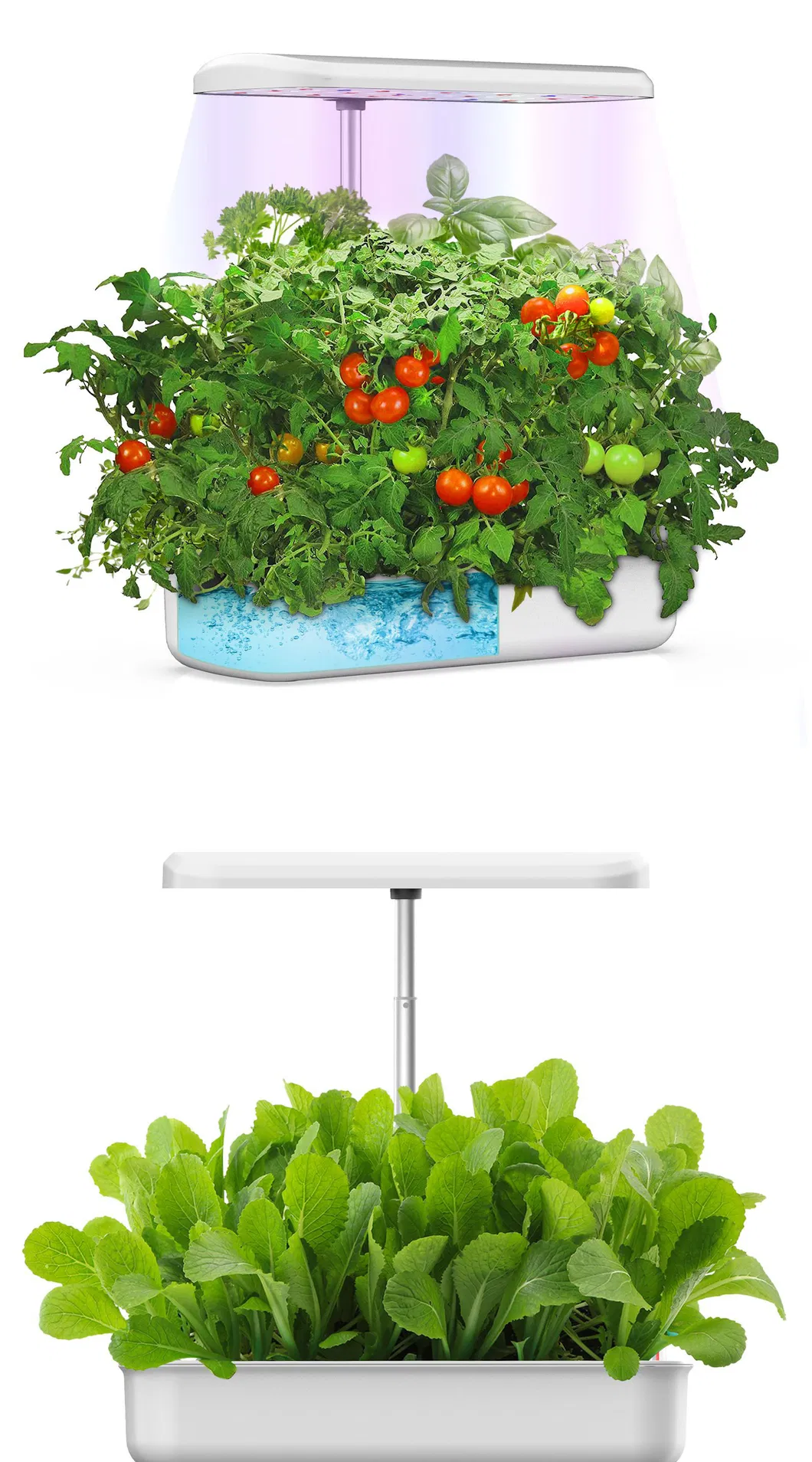 Smart Hydroponic Flowerpot in Home Garden with LED Grow Light