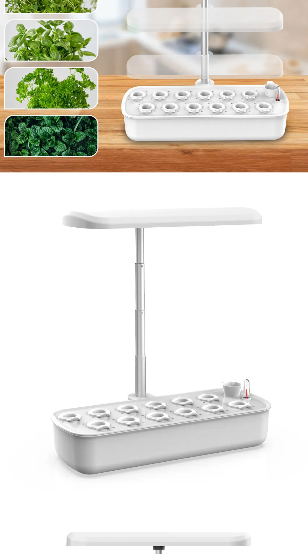 Smart Hydroponic Flowerpot in Home Garden with LED Grow Light