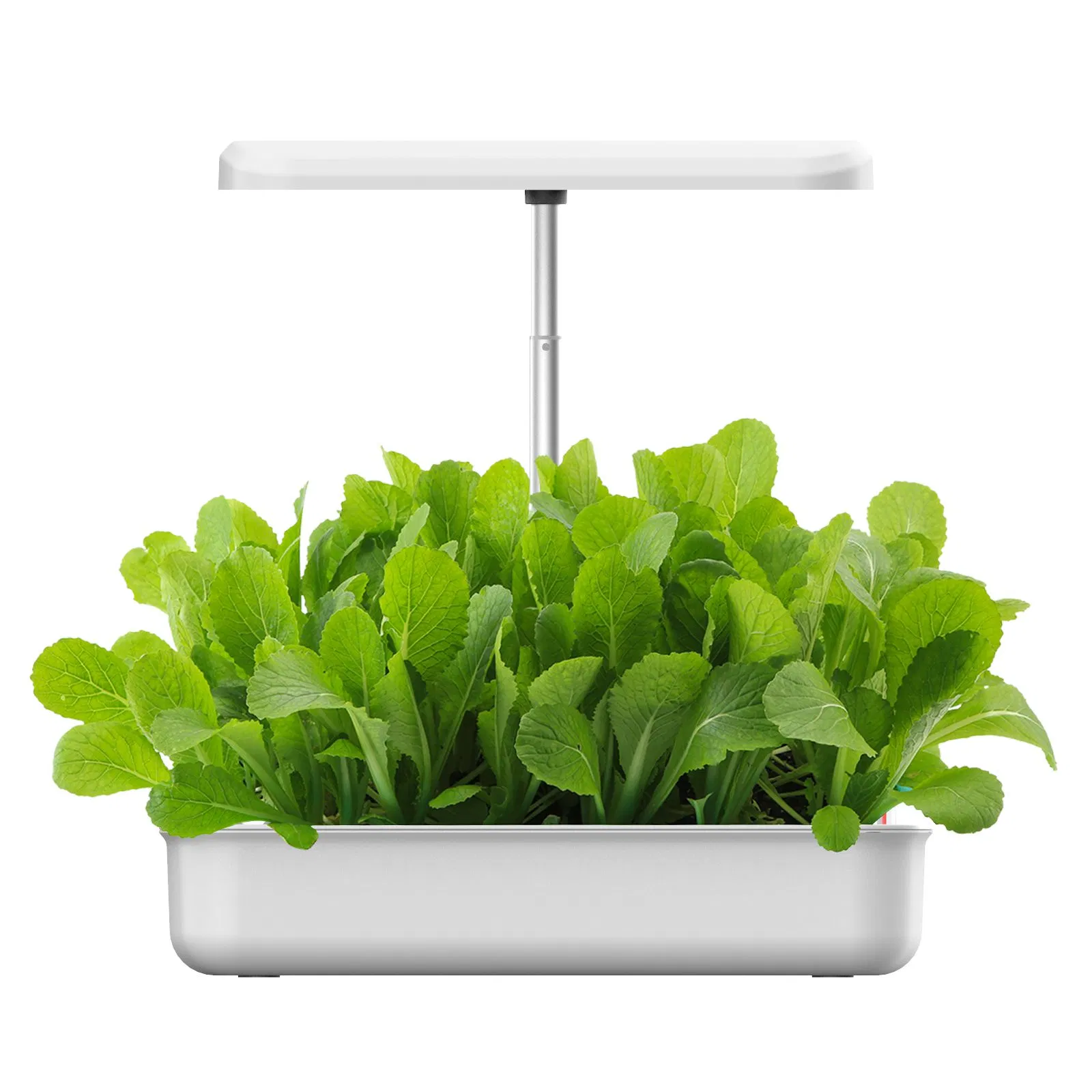 Smart Hydroponic Flowerpot in Home Garden with LED Grow Light