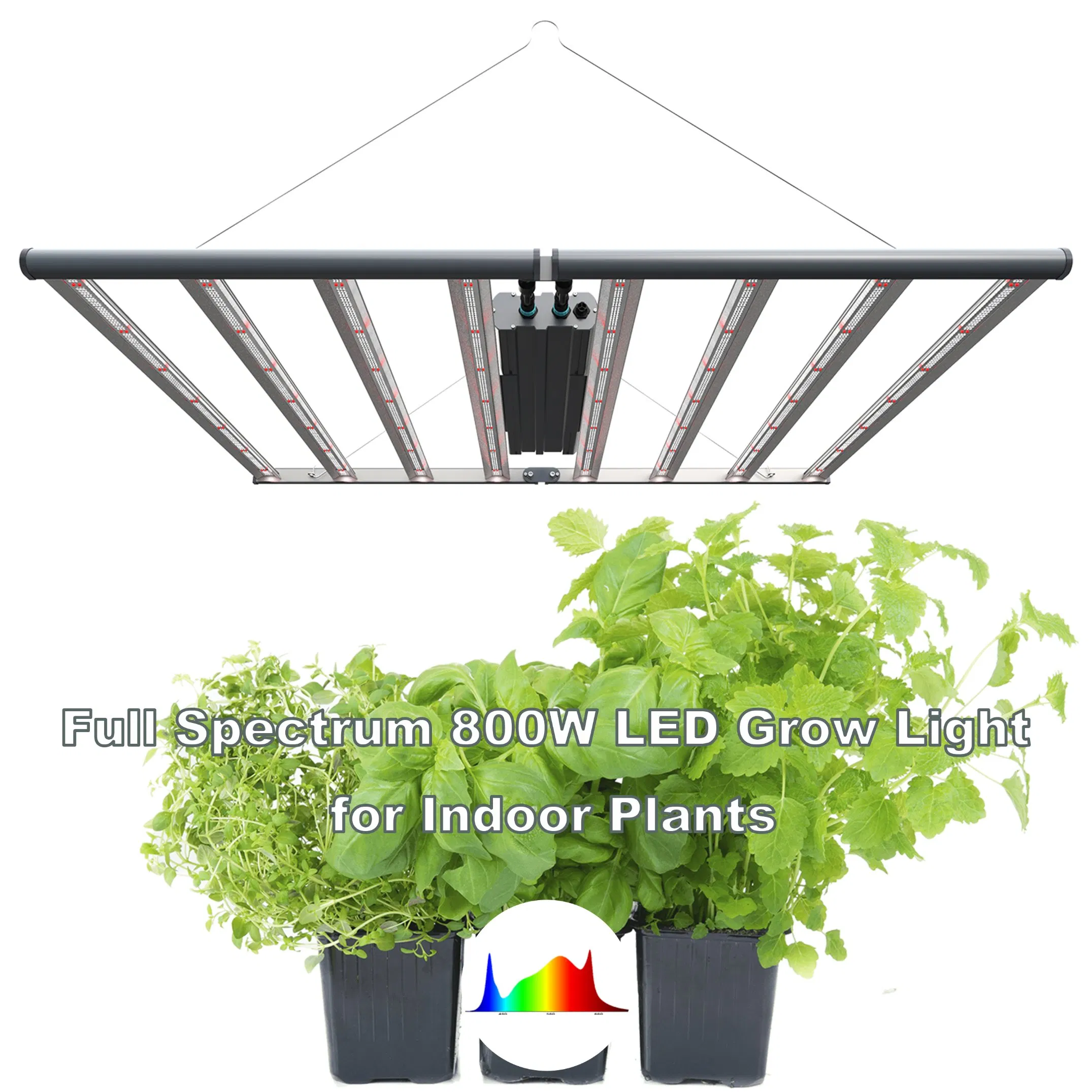 Spydr Type New Designing Full Spectrum 800W LED Plant Grow Panel for Indoors Plants Daisy Chain