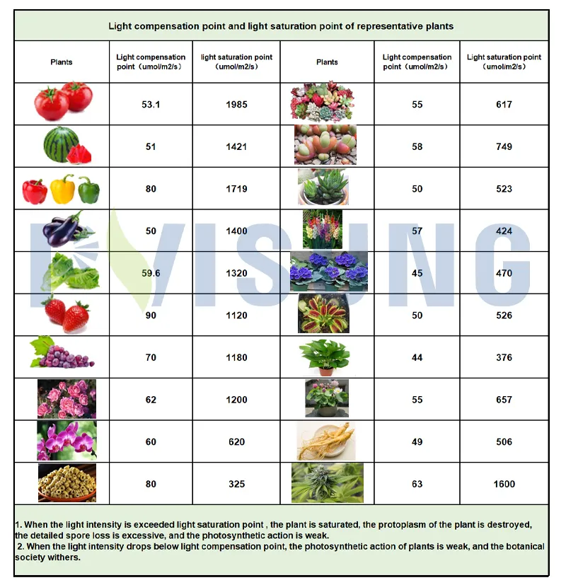 Sumsung Strip Indoor Quantum High Power Horticulture Board Lamp Full Spectrum Growing Plant Wholesale Panel LED Grow Light
