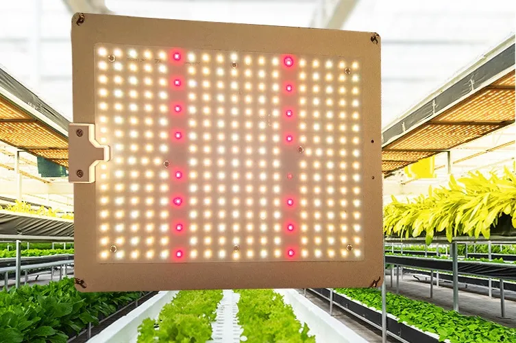 The Latest 120W Dimmable Waterproof LED Growth Light