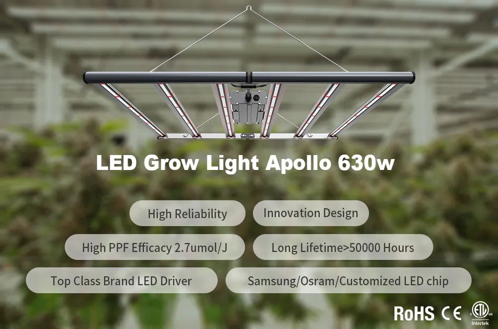 Us Warehouse Stocks Full Spectrum (630W/800W) LED Grow Light Same Quality as Fluence′ S or Gavita′ S