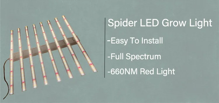 UV IR Weed Veg Growing Seeds Indoor Plant Full Spectrum Greenhouse Hydroponic Growlight LED Grow Light (600W/720W/800W/1000W/1200W) (4*4 5*5 6*6 FT)