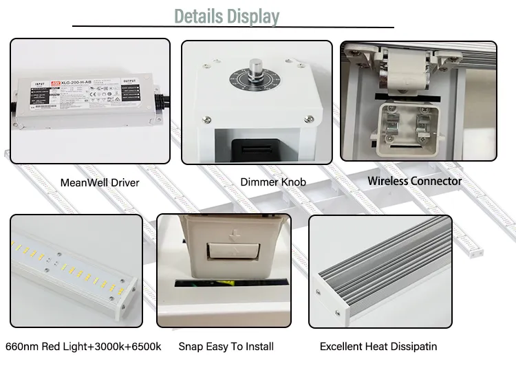UV IR Weed Veg Growing Seeds Indoor Plant Full Spectrum Greenhouse Hydroponic Growlight LED Grow Light (600W/720W/800W/1000W/1200W) (4*4 5*5 6*6 FT)