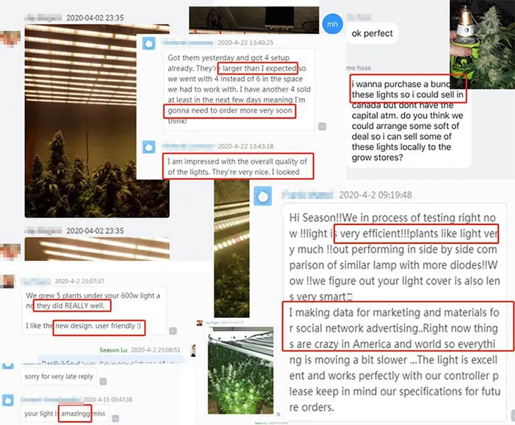 UV IR Weed Veg Growing Seeds Indoor Plant Full Spectrum Greenhouse Hydroponic Growlight LED Grow Light (600W/720W/800W/1000W/1200W) (4*4 5*5 6*6 FT)