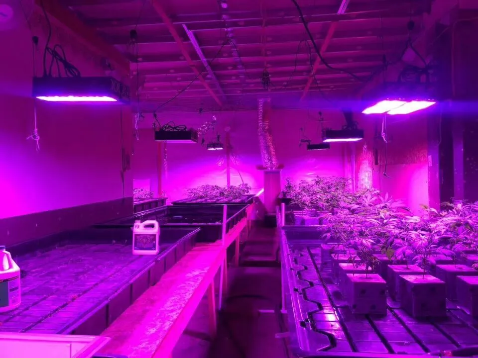 Vegetable Plant LED Grow Light 400W with ETL Approval