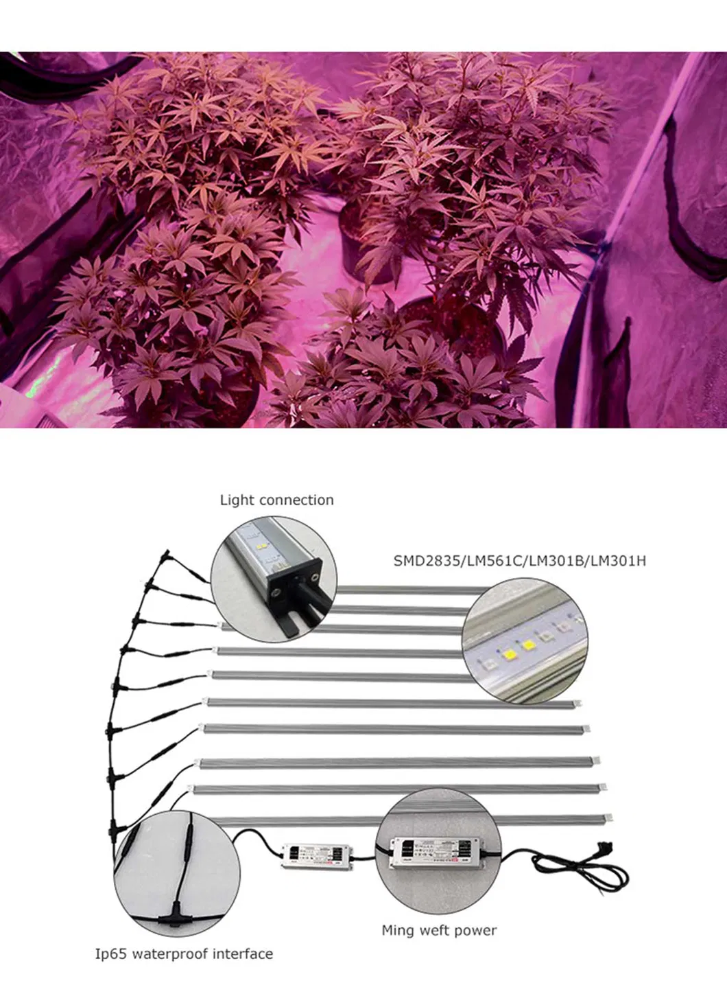 Waterproof Greenhouse Spectrum 240W LED Grow Light Bar